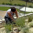 projekt brežina 5