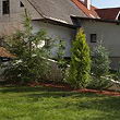 projekt Vešter 15